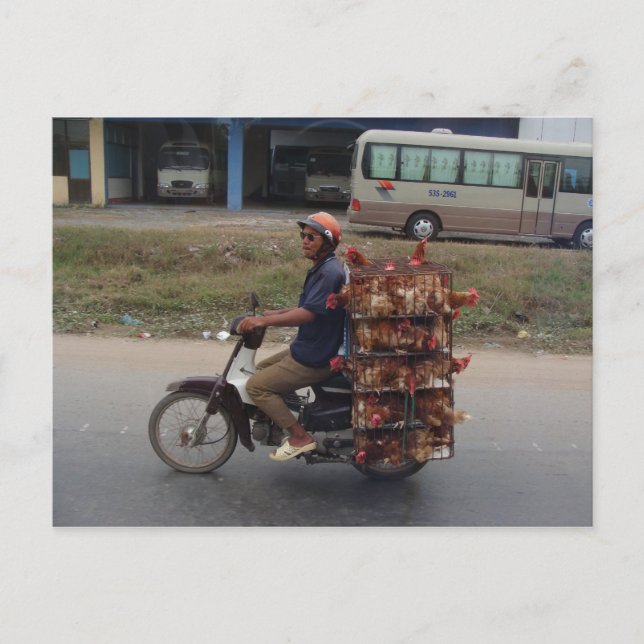 Chickens on Motorbike-Vietnam Postcard (Front)