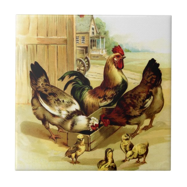 Chickens Rooster and Chicks Tile (Front)