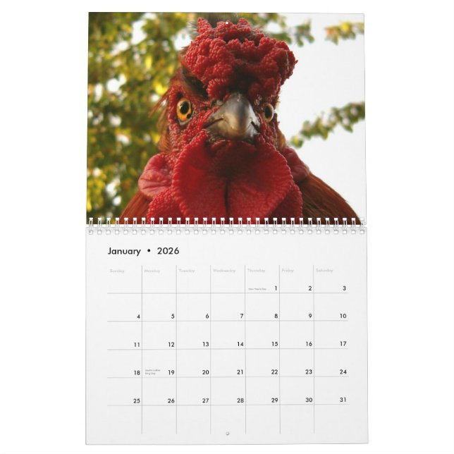 Chickens & Roosters Calendar (Jan 2026)