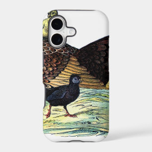 Chickens Vintage Animal