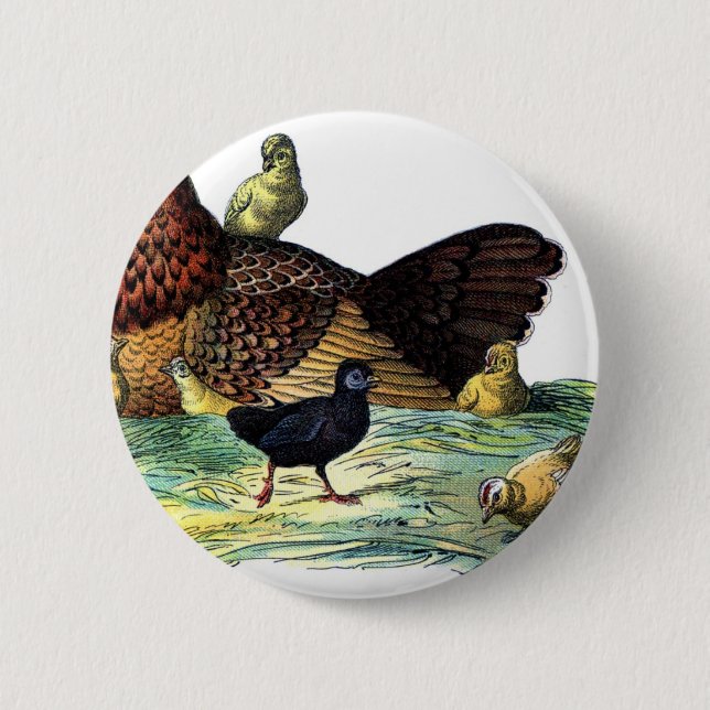 Chickens Vintage Animal 2 Inch Round Button (Front)