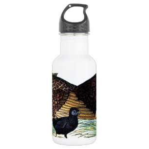 Chickens Vintage Animal 532 Ml Water Bottle
