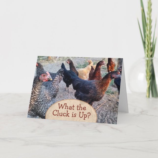Chickens What's Up Funny Humour Card (Front)