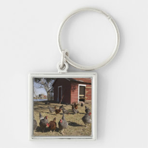 Chickens working grounds near hen house Cliburn Keychain