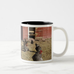 Chickens working grounds near hen house Cliburn Two-Tone Coffee Mug