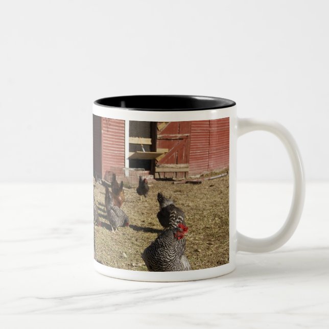 Chickens working grounds near hen house Cliburn Two-Tone Coffee Mug (Right)