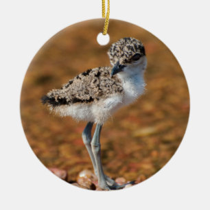 Chickling Ceramic Ornament