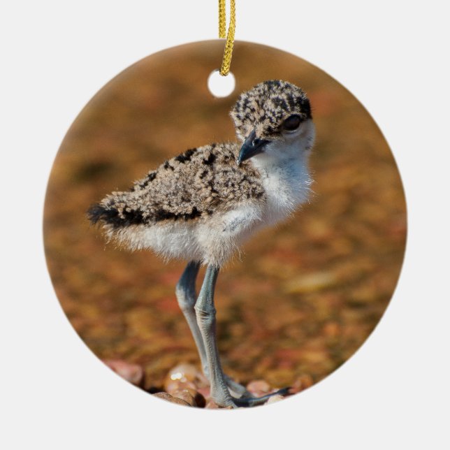 Chickling Ceramic Ornament (Front)