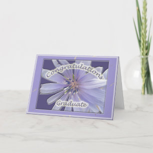 Chickory Congratulations Graduate Card