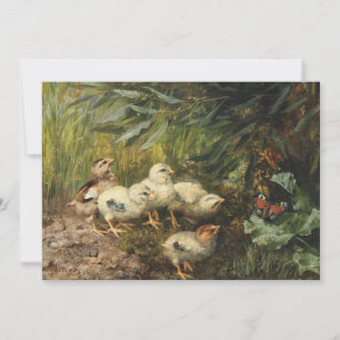 Chicks and a Butterfly   Franz Xaver Birkinger