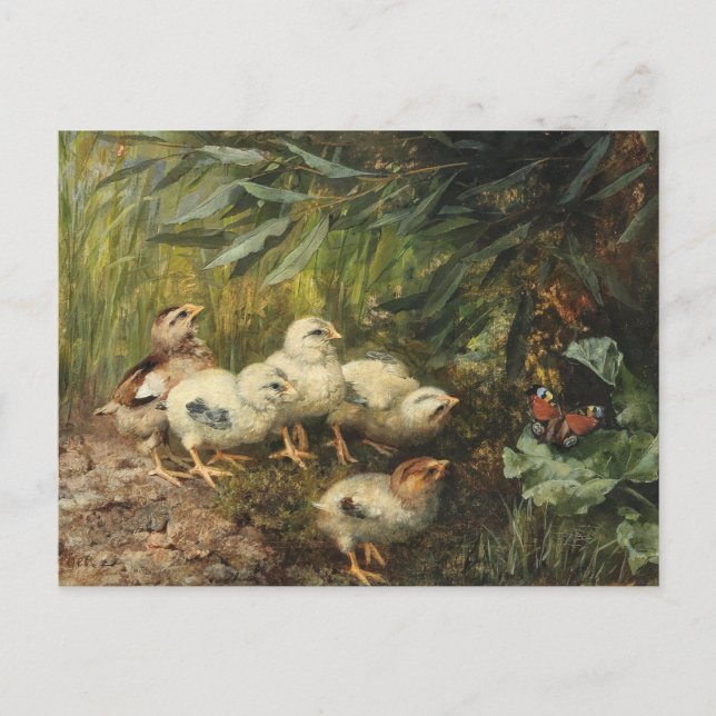 Chicks and a Butterfly | Franz Xaver Birkinger Postcard (Front)