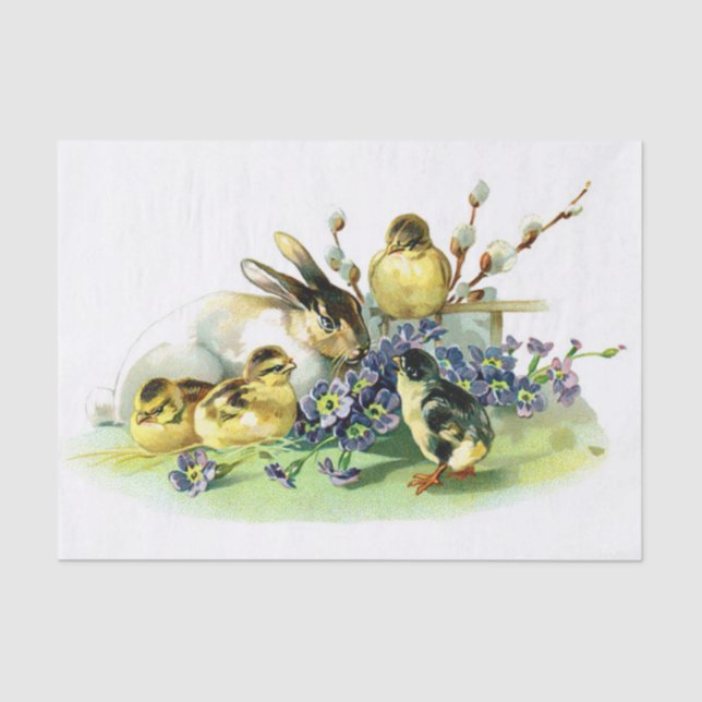 Chicks and Bunny Tissue Paper (Front)