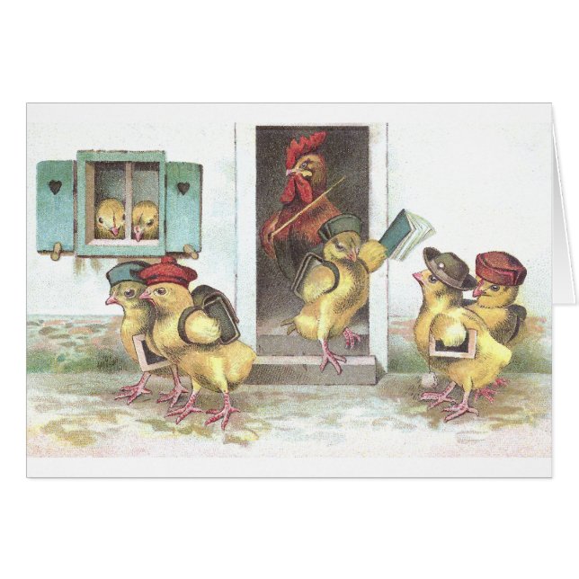 Chicks at School and Rooster Teacher (Front Horizontal)