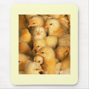 Chicks Mouse Pad