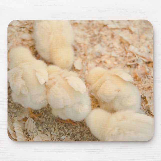 chicks mouse pad (Front)