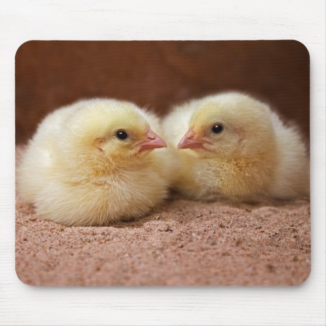 Chicks Mousemat Mouse Pad (Front)