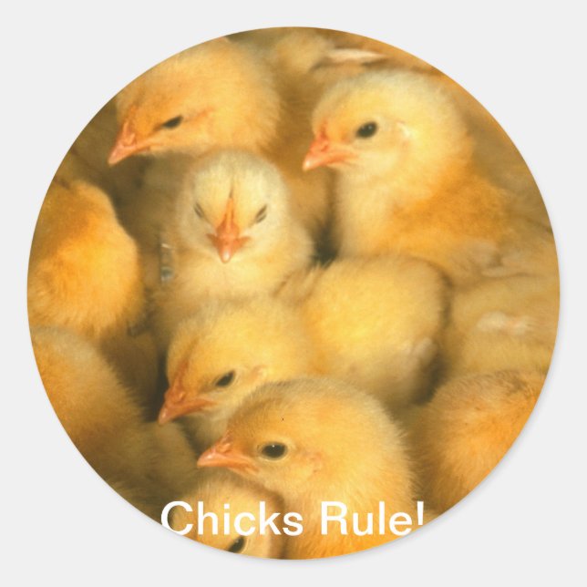 Chicks Rule! Baby Chicks Chick Chicken Chickens Classic Round Sticker (Front)