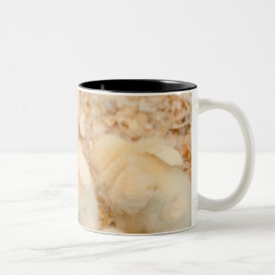 chicks Two-Tone coffee mug