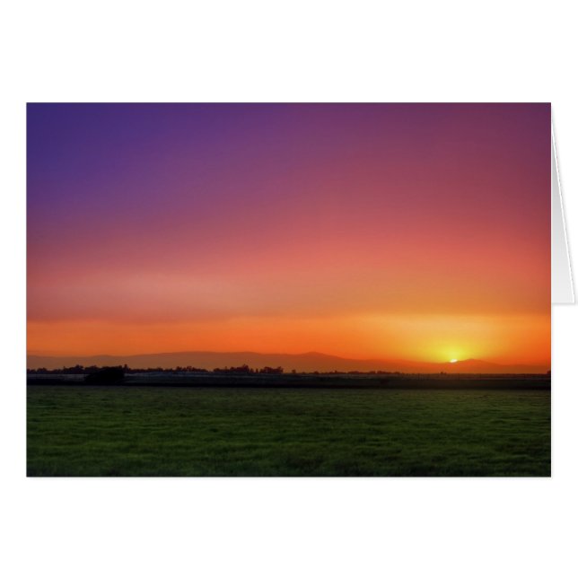 Chico (Front Horizontal)