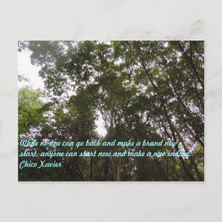Chico Xavier Quotes Postcard