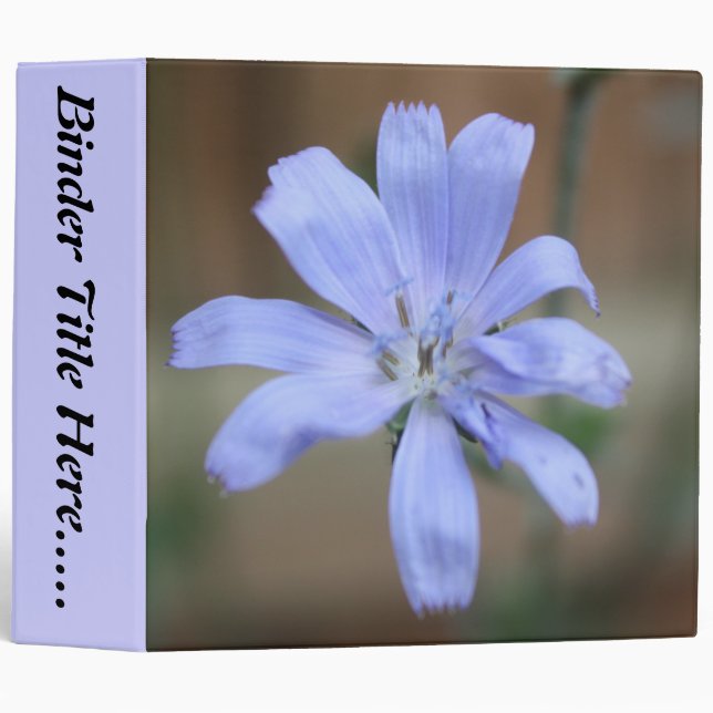 Chicory 2" Binder (Front/Spine)