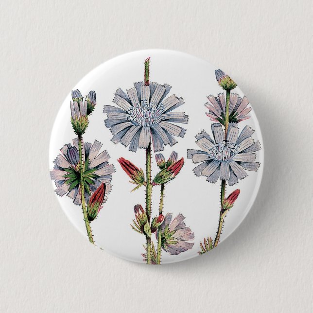 Chicory 2 Inch Round Button (Front)