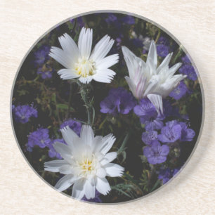 Chicory and Phacelia Wildflowers Coaster