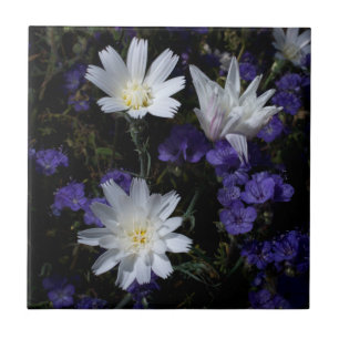 Chicory and Phacelia Wildflowers Tile