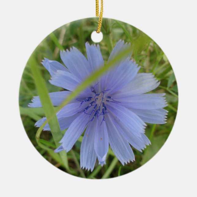 Chicory Blue Purple Flower Floral Ceramic Ornament (Front)