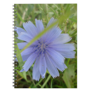 Chicory Blue Purple Flower Floral Notebook