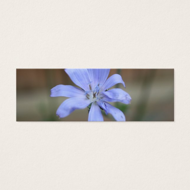 Chicory Bookmark (Front)
