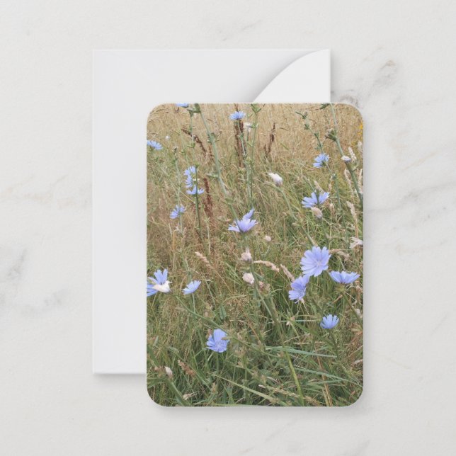 Chicory Card (Front)