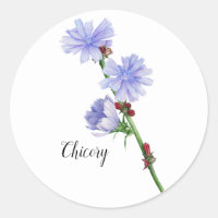 Chicory Flowers Watercolor