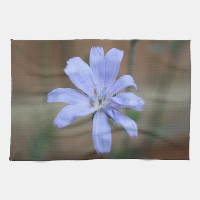 Chicory Kitchen Towel (Horizontal)