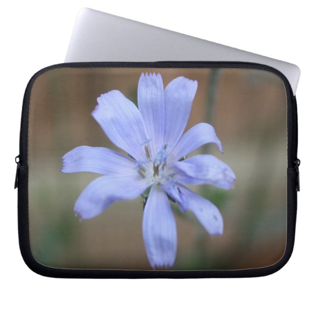 Chicory Laptop Sleeve (Front)