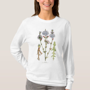 Chicory Vintage Botanical T-Shirt