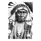 Chief Joseph 1 Posters-Prints