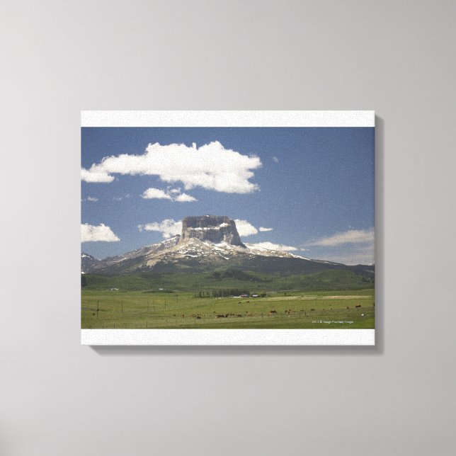 Chief Mountain With Pastures Of Grazing Cattle Canvas Print (Front)
