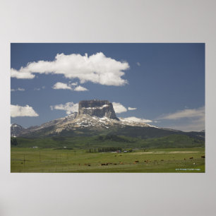 Chief Mountain With Pastures Of Grazing Cattle Poster