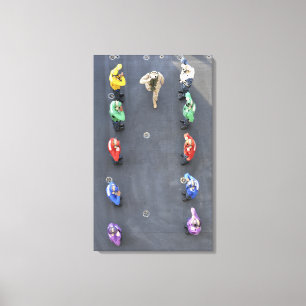 Chief of Naval Operations Canvas Print