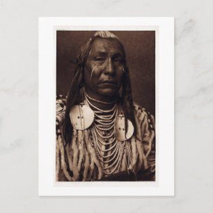 Chief Red Wing - Tatankamani - Walking Buffalo Postcard