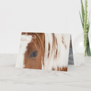 Chief's Eye Horse Greeting Card