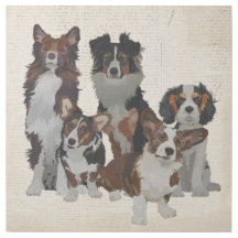 CHIEN