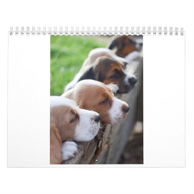 chien 2019 de basset de calendrier (Protection)