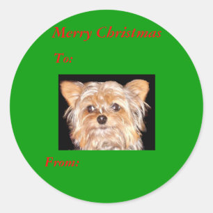 Chien 4, Étiquettes de Noël