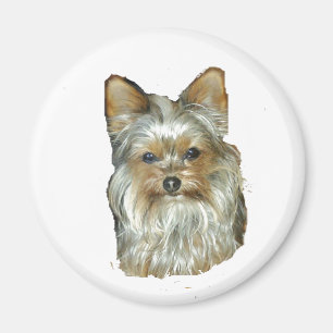 Chien 4B, Yorkshire Terrier, Magnet