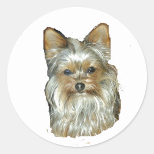 Chien 4B, Yorkshire Terrier, Stickers