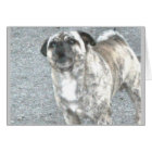 Chien à aboiements aggravés