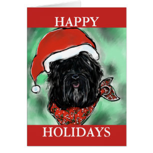 CHIEN À SOIE HAVANA