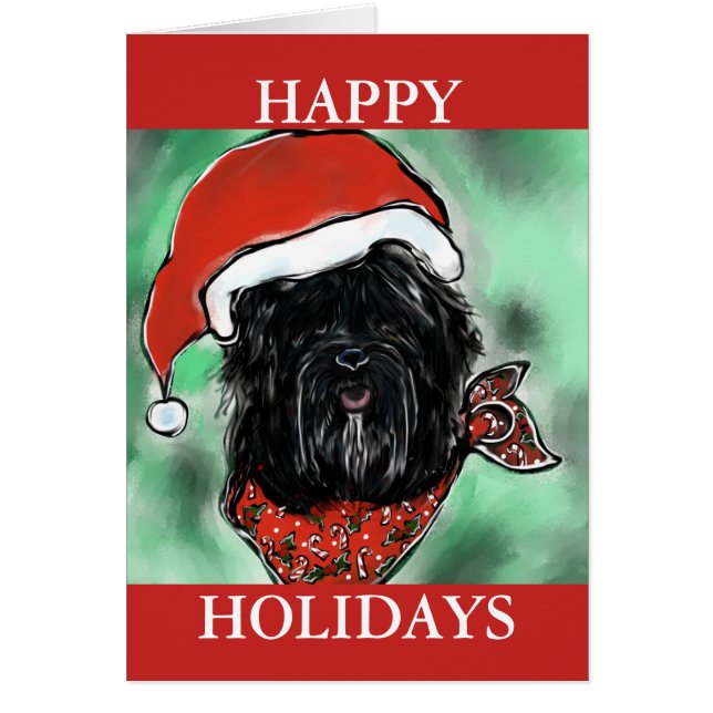 CHIEN À SOIE HAVANA (Devant)